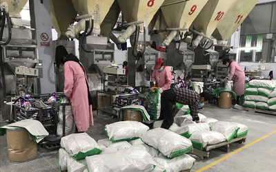 德州武城:金融&ldquo;春風(fēng)&rdquo;送來企業(yè)復(fù)工&ldquo;及時(shí)雨&rdquo;